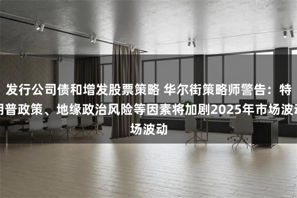 发行公司债和增发股票策略 华尔街策略师警告：特朗普政策、地缘政治风险等因素将加剧2025年市场波动