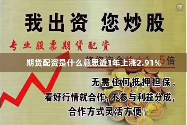 期货配资是什么意思近1年上涨2.91%